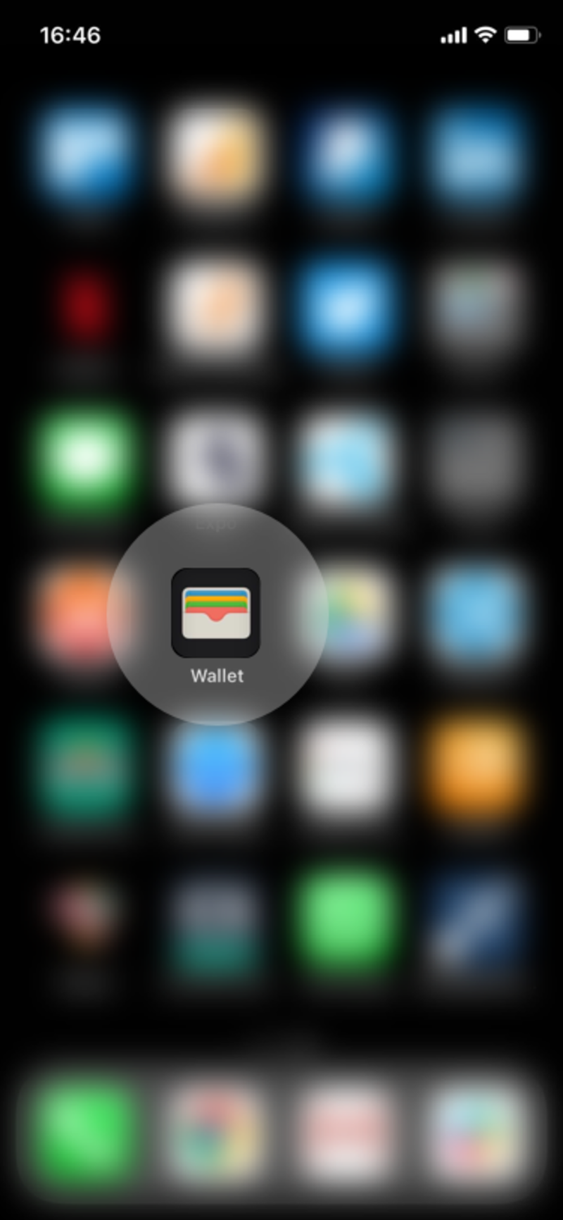 wallet